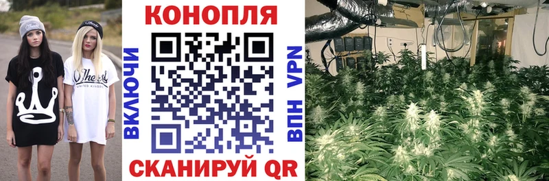 Наркошоп купить Марихуана  Меф  Амфетамин  ГАШ  Кокаин  Alpha PVP  Саров