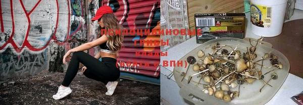 МДПВ Баксан