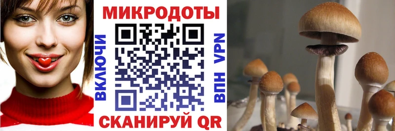 Галлюциногенные грибы GOLDEN TEACHER  Купить закладки  Саров 