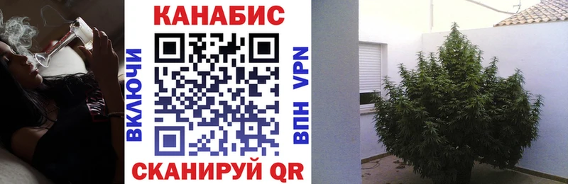 Канабис Ganja  Купить где  Саров 